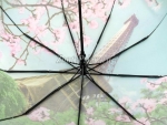 Зонт женский Amico, арт.4355-1_product